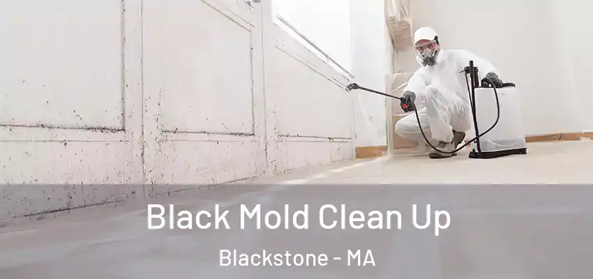 Black Mold Clean Up Blackstone - MA