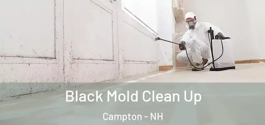 Black Mold Clean Up Campton - NH