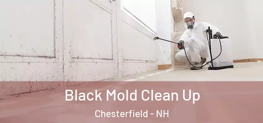  Black Mold Clean Up Chesterfield - NH