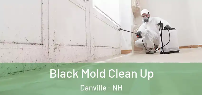 Black Mold Clean Up Danville - NH