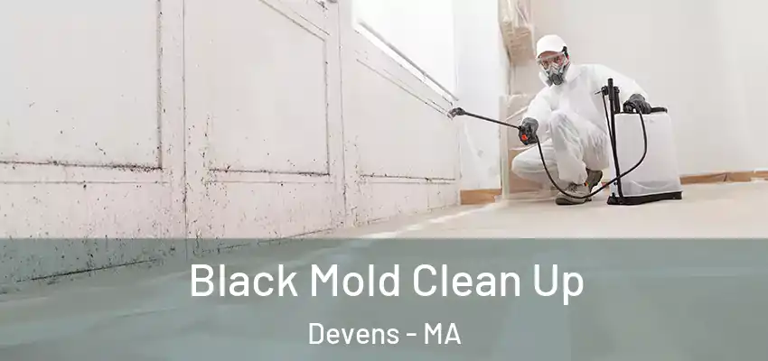 Black Mold Clean Up Devens - MA