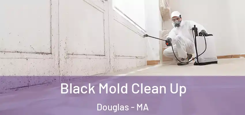 Black Mold Clean Up Douglas - MA