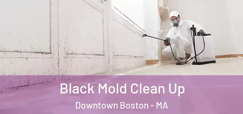 Black Mold Clean Up Downtown Boston - MA