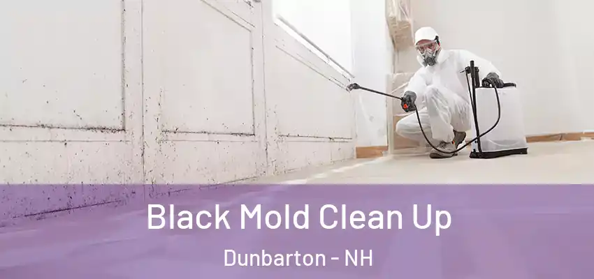 Black Mold Clean Up Dunbarton - NH