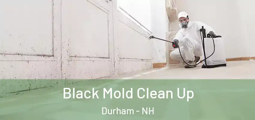 Black Mold Clean Up Durham - NH