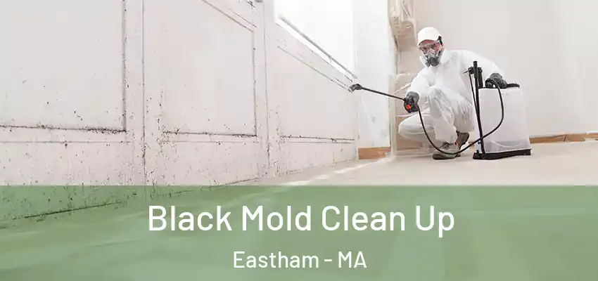 Black Mold Clean Up Eastham - MA