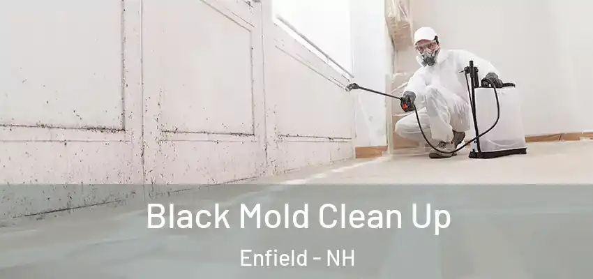  Black Mold Clean Up Enfield - NH