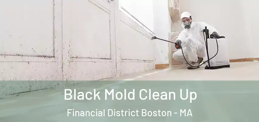 Black Mold Clean Up Financial District Boston - MA