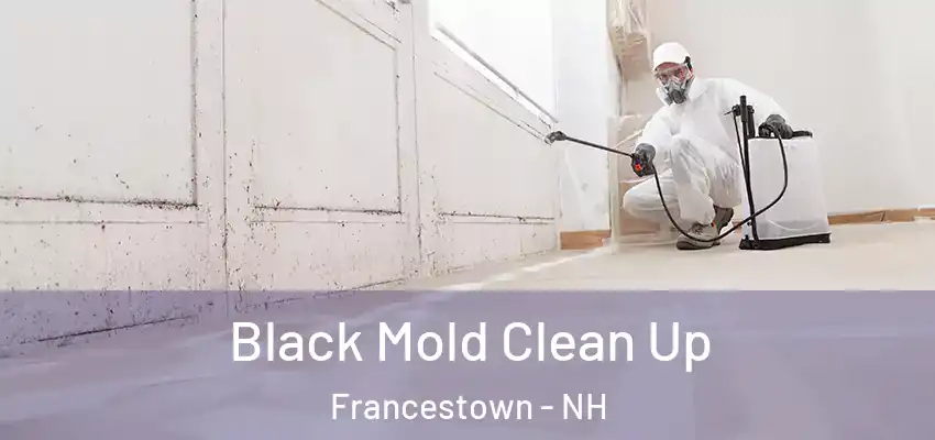 Black Mold Clean Up Francestown - NH