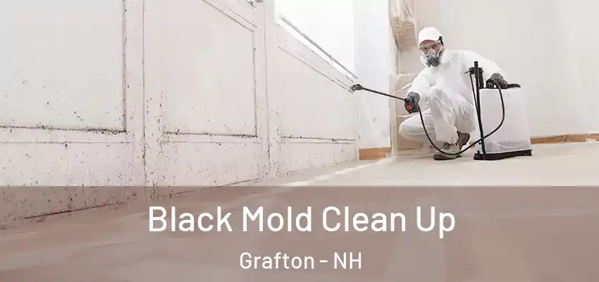 Black Mold Clean Up Grafton - NH