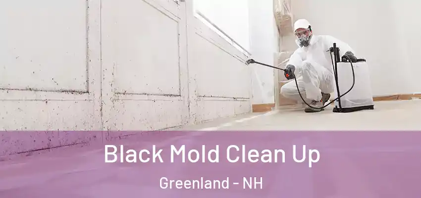 Black Mold Clean Up Greenland - NH