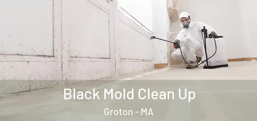 Black Mold Clean Up Groton - MA