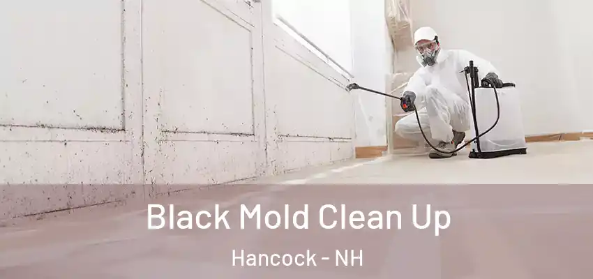 Black Mold Clean Up Hancock - NH