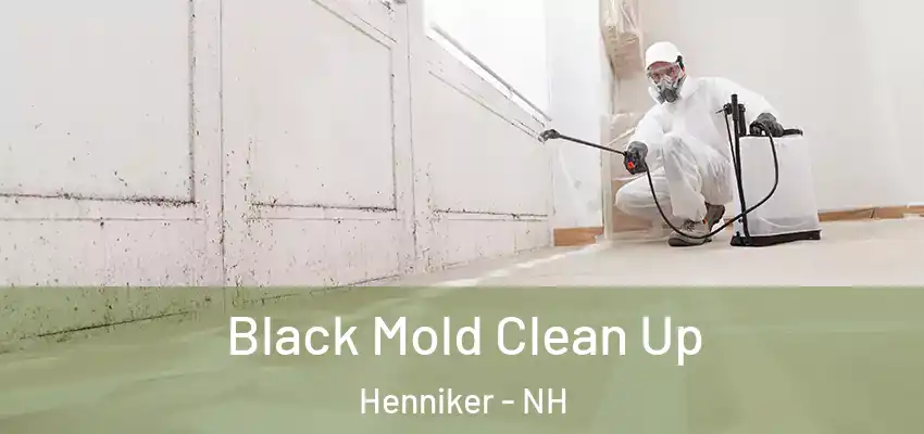 Black Mold Clean Up Henniker - NH