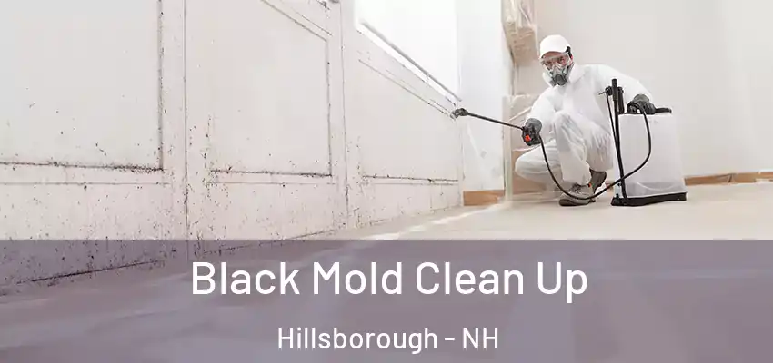  Black Mold Clean Up Hillsborough - NH