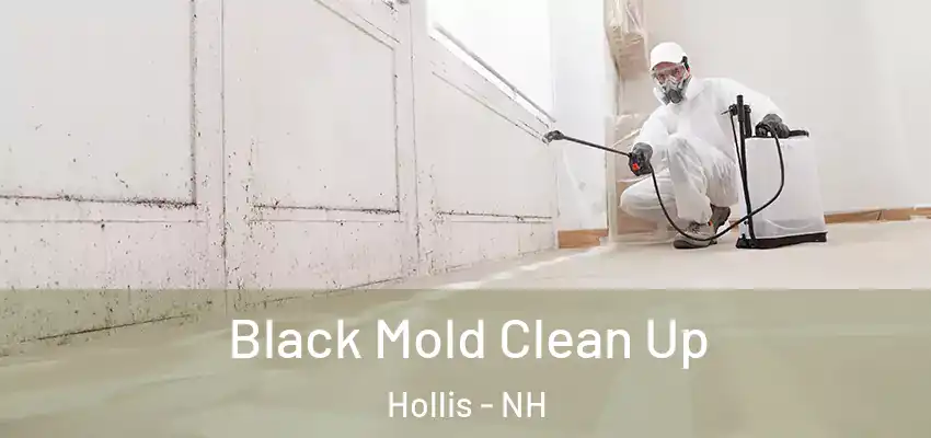 Black Mold Clean Up Hollis - NH