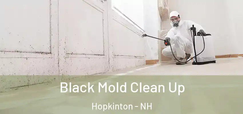 Black Mold Clean Up Hopkinton - NH