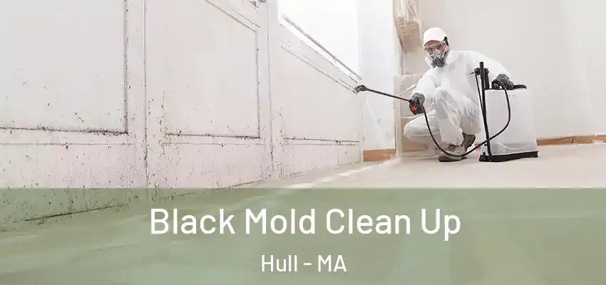 Black Mold Clean Up Hull - MA