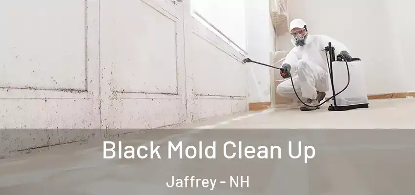 Black Mold Clean Up Jaffrey - NH