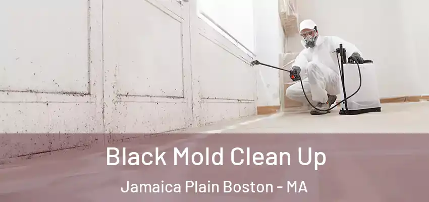  Black Mold Clean Up Jamaica Plain Boston - MA