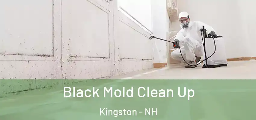  Black Mold Clean Up Kingston - NH