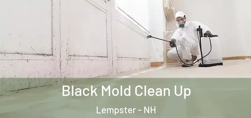  Black Mold Clean Up Lempster - NH
