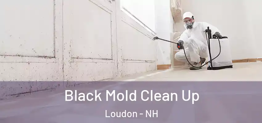 Black Mold Clean Up Loudon - NH