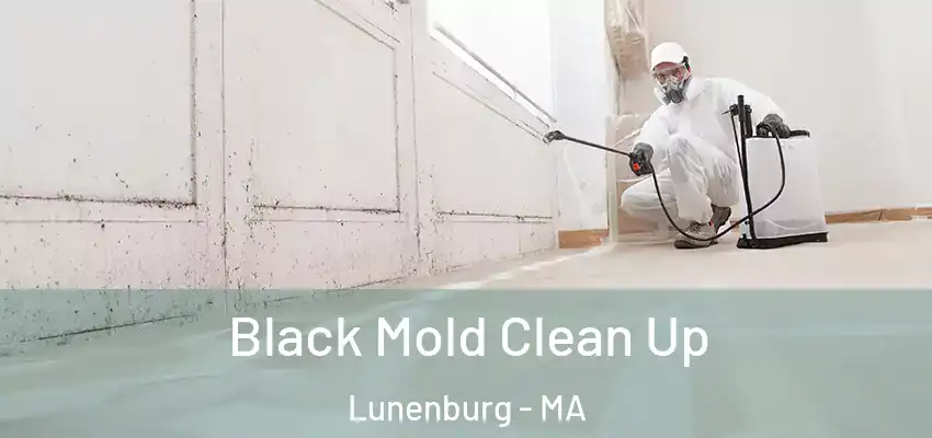 Black Mold Clean Up Lunenburg - MA