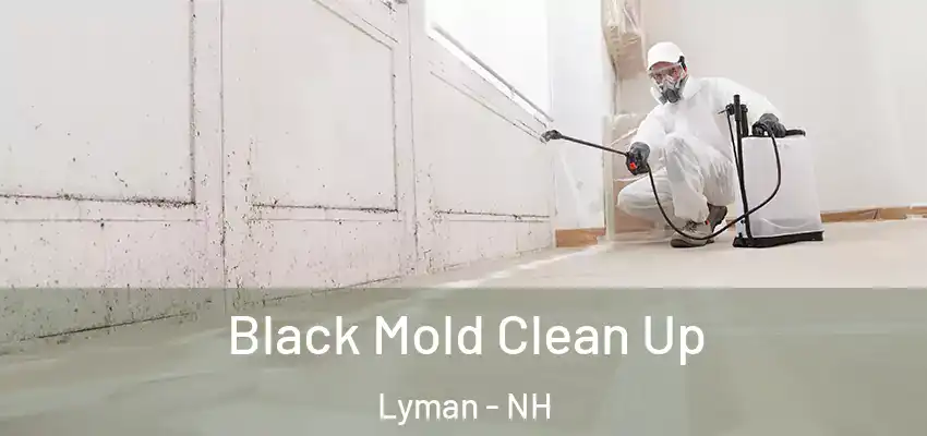  Black Mold Clean Up Lyman - NH