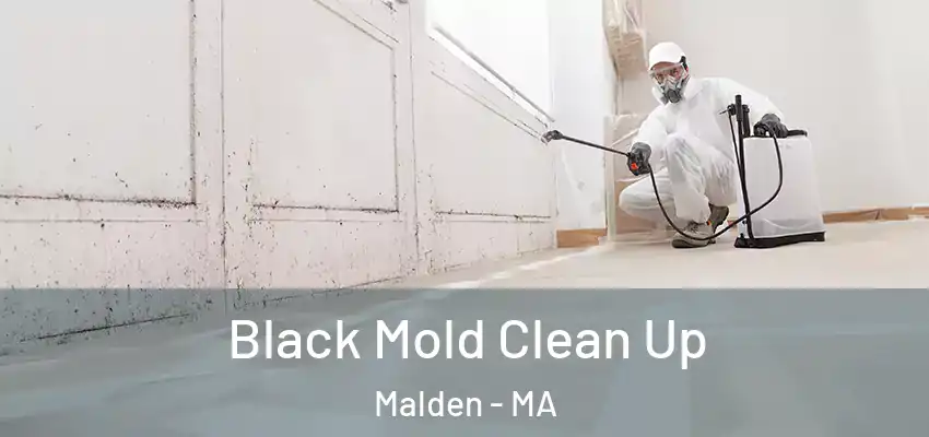 Black Mold Clean Up Malden - MA