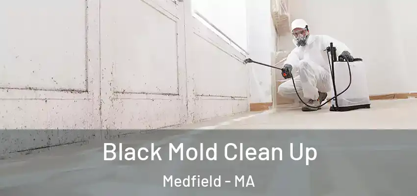 Black Mold Clean Up Medfield - MA