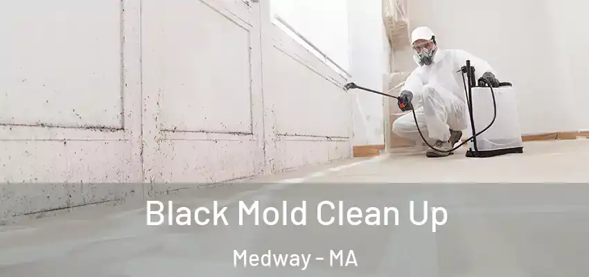 Black Mold Clean Up Medway - MA