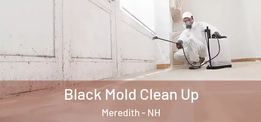 Black Mold Clean Up Meredith - NH