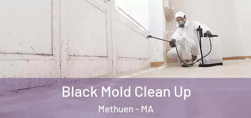  Black Mold Clean Up Methuen - MA