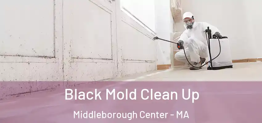  Black Mold Clean Up Middleborough Center - MA