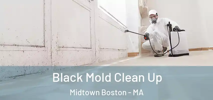  Black Mold Clean Up Midtown Boston - MA