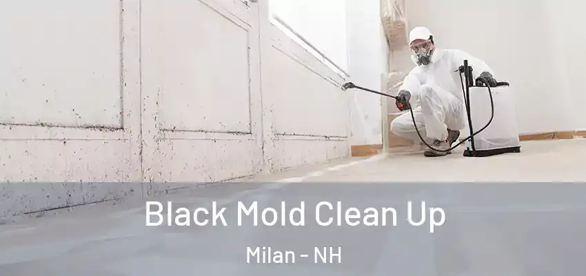  Black Mold Clean Up Milan - NH