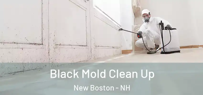 Black Mold Clean Up New Boston - NH