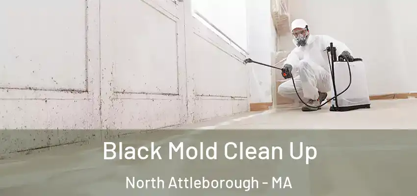 Black Mold Clean Up North Attleborough - MA