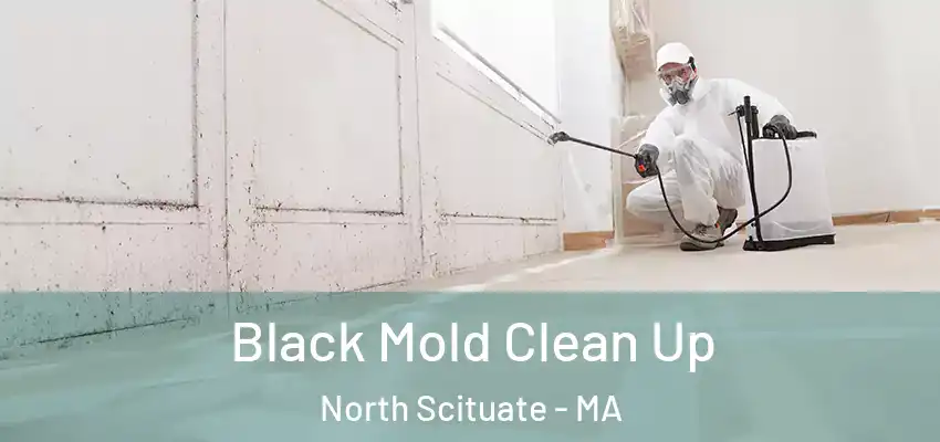  Black Mold Clean Up North Scituate - MA