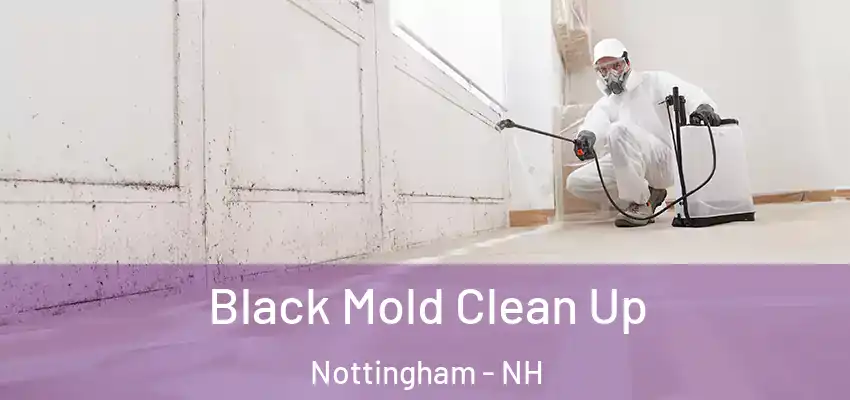 Black Mold Clean Up Nottingham - NH