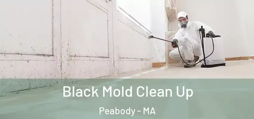 Black Mold Clean Up Peabody - MA