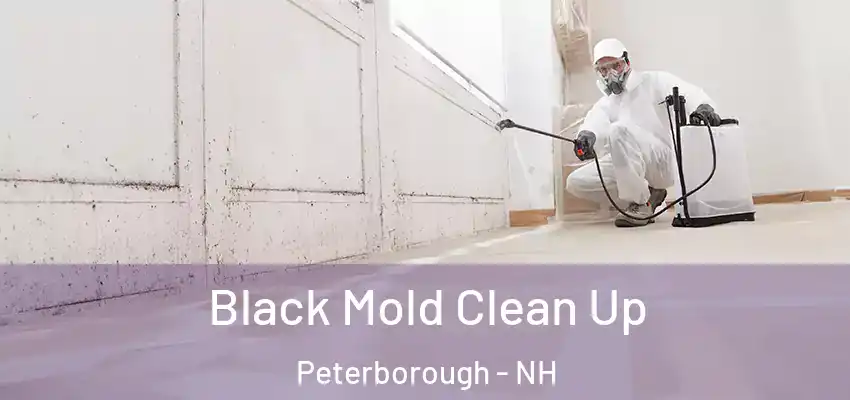 Black Mold Clean Up Peterborough - NH