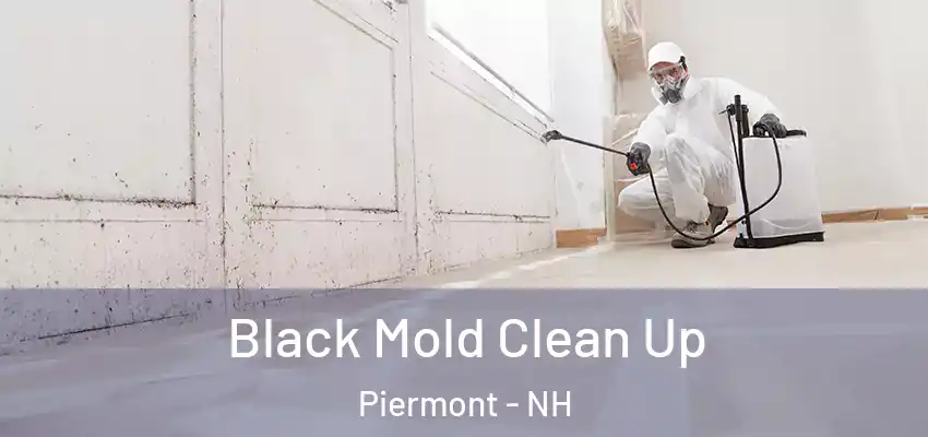 Black Mold Clean Up Piermont - NH