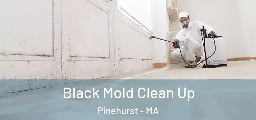 Black Mold Clean Up Pinehurst - MA