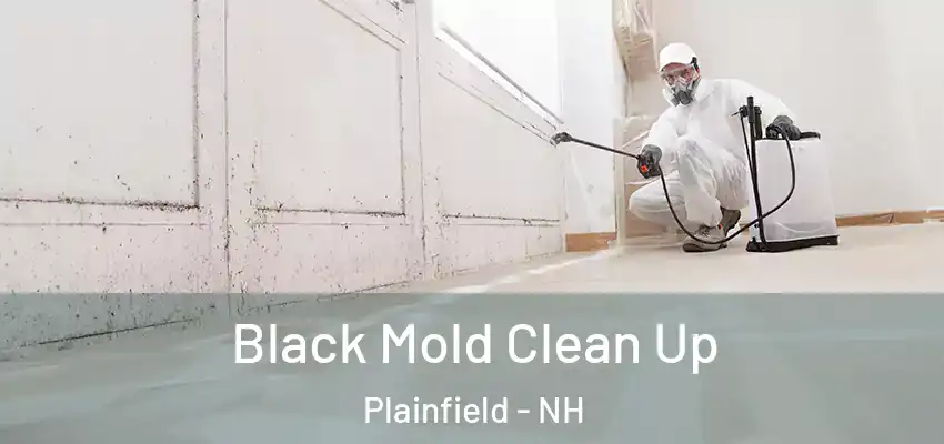 Black Mold Clean Up Plainfield - NH