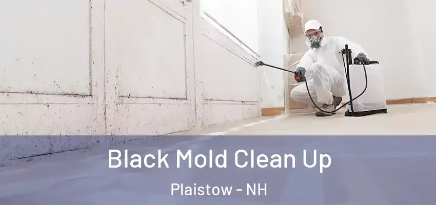  Black Mold Clean Up Plaistow - NH