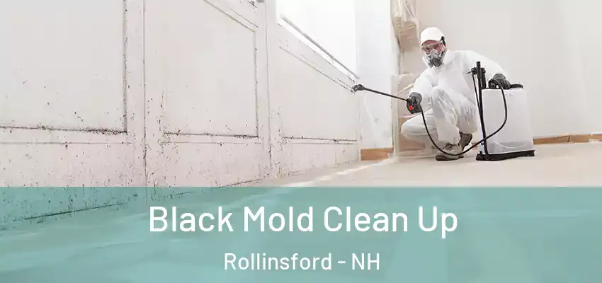 Black Mold Clean Up Rollinsford - NH