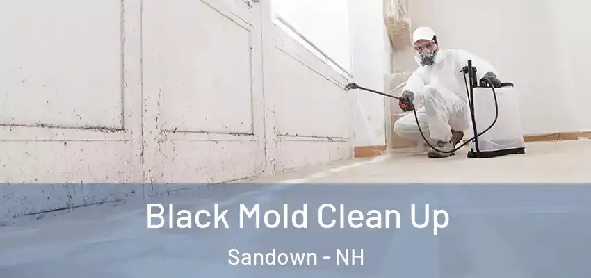 Black Mold Clean Up Sandown - NH