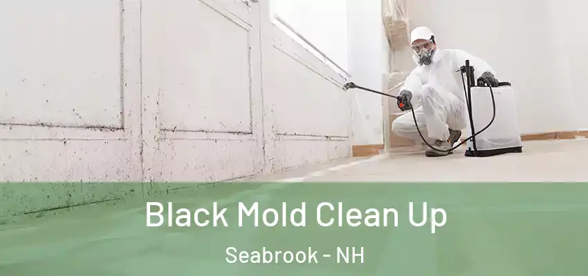  Black Mold Clean Up Seabrook - NH